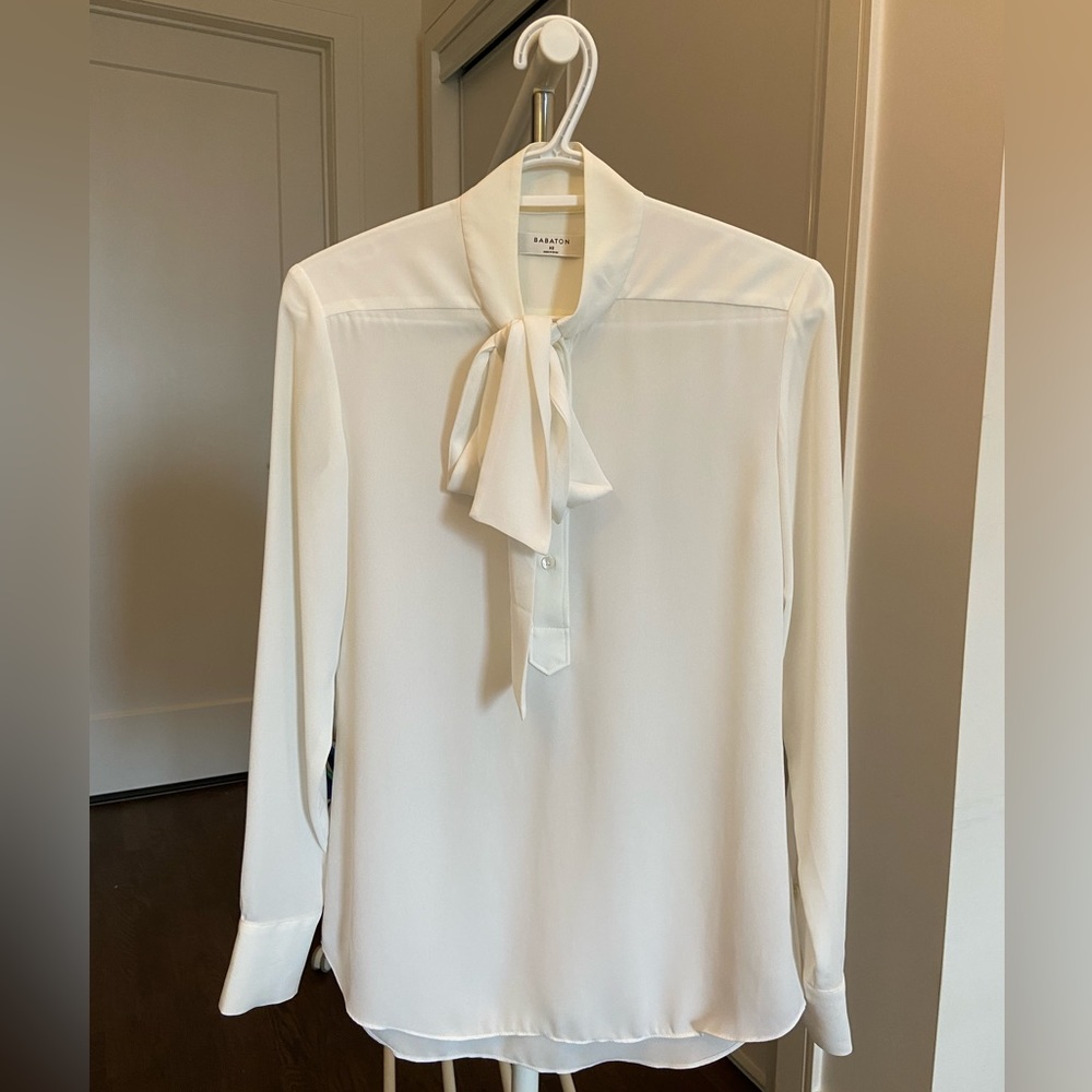 Aritzia Babaton Blouses